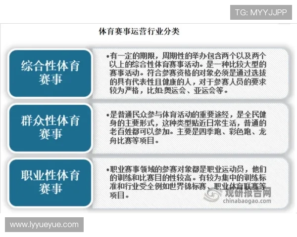 霍伊伦的传奇旅程与时代变迁中的文化影响力探讨