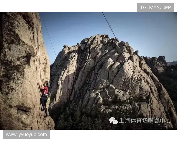 上海攀岩队创新进攻策略助力攀岩运动新发展与突破