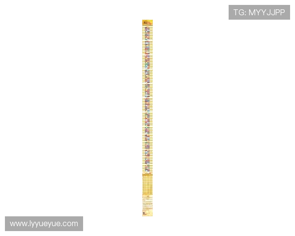 广州排球队状态飙升夺冠在即最新排球TOP10榜单揭晓